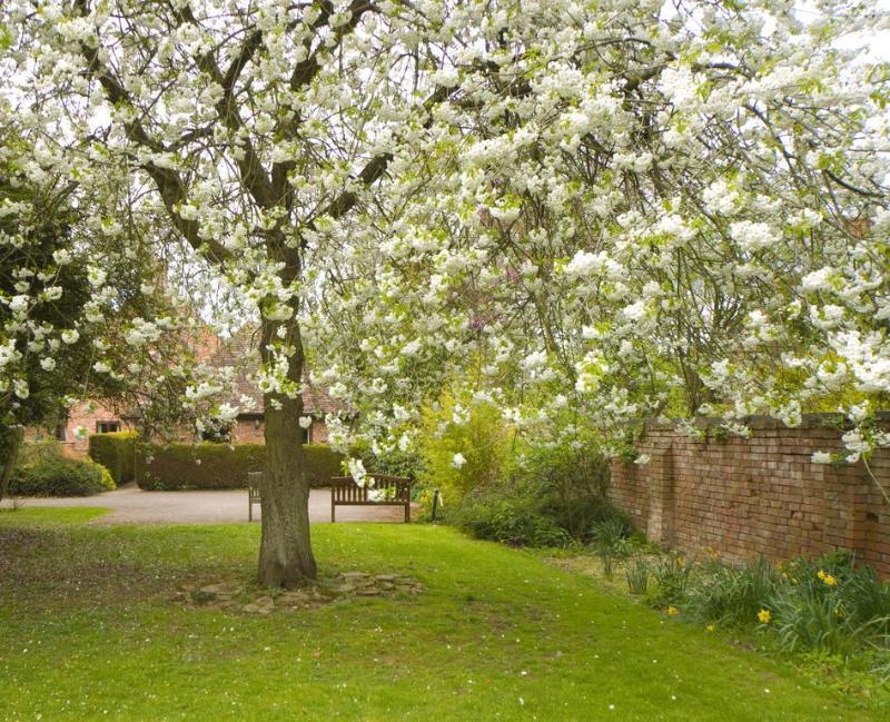 Clarion Charlecote Pheasant Hotel